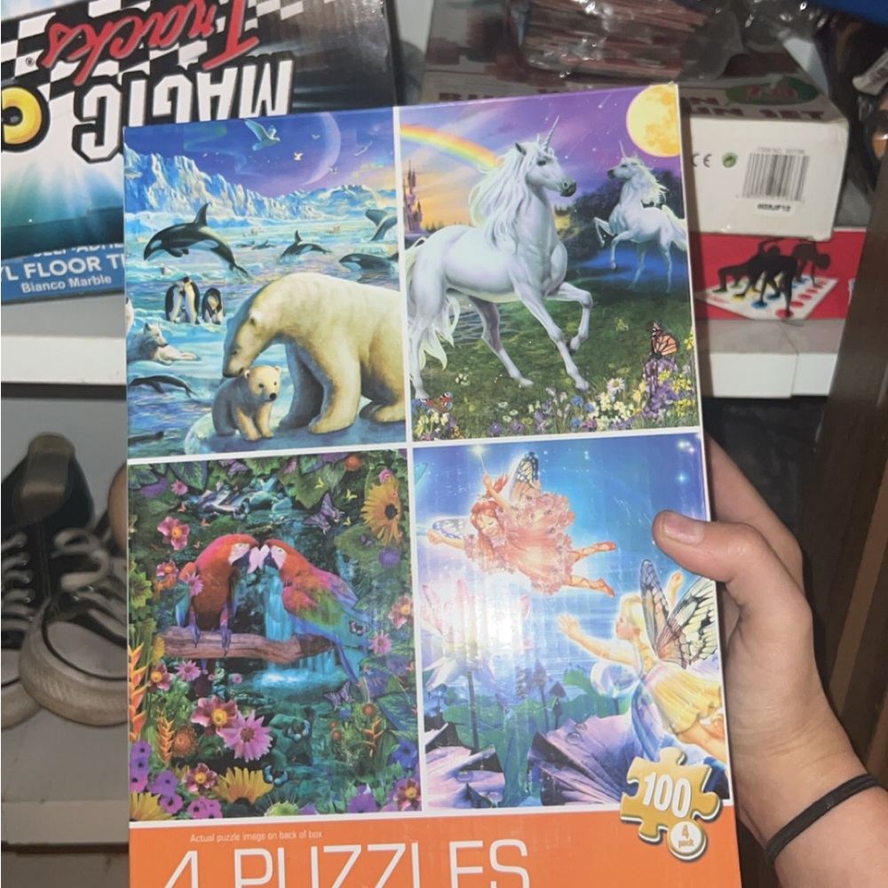 Colorful 4-in-1 Puzzle Set
